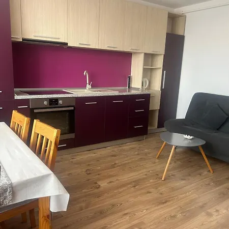 Selina Transilvania Apartment