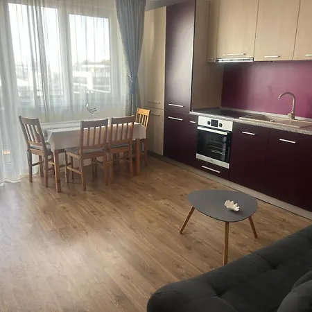 Apartment Selina Transilvania Brasov