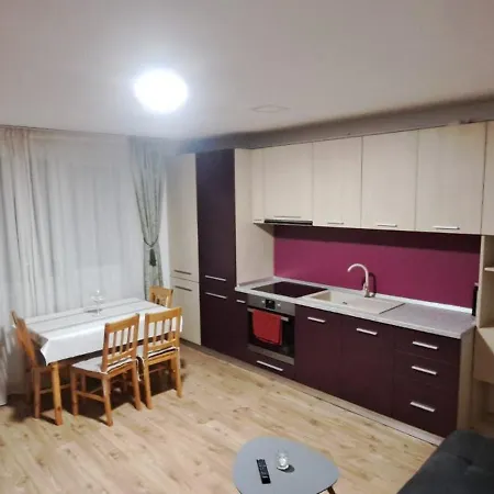 Selina Transilvania Apartment