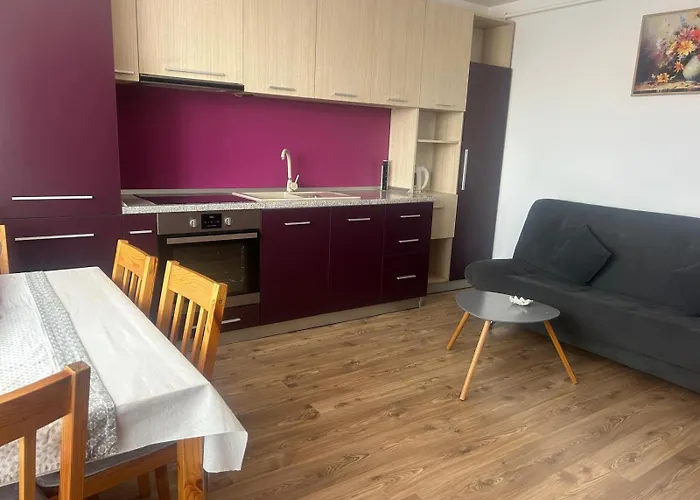 Selina Transilvania Apartment