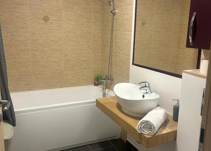 Selina Transilvania Apartment