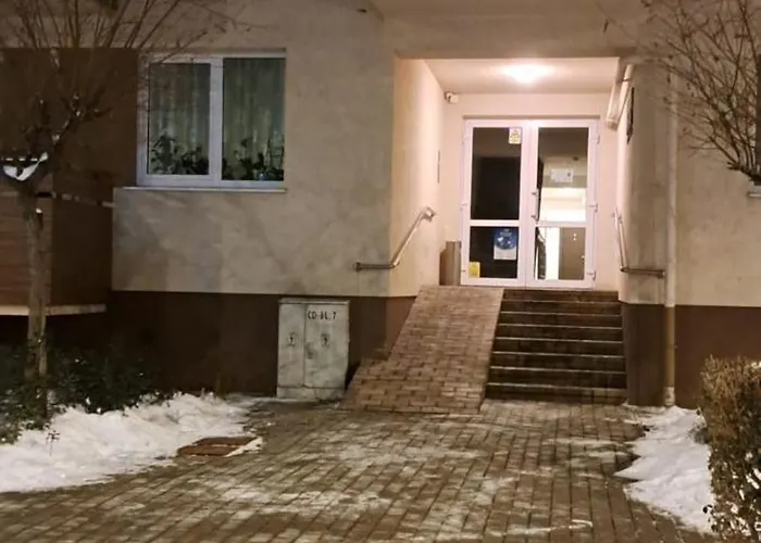 Selina Transilvania Apartment Brasov