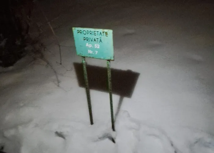 Apartment Selina Transilvania *